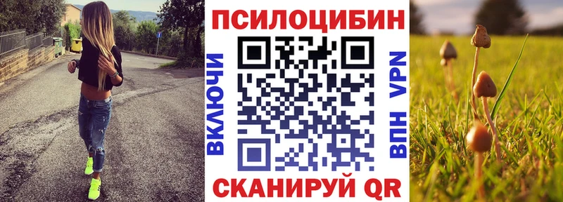 Купить  Славянск-на-Кубани  Псилоцибиновые грибы мицелий 